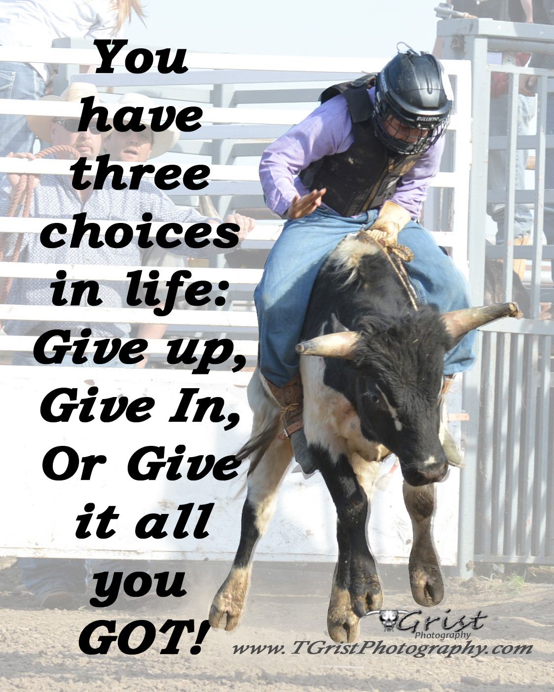 37 Best Bull Riding Quotes