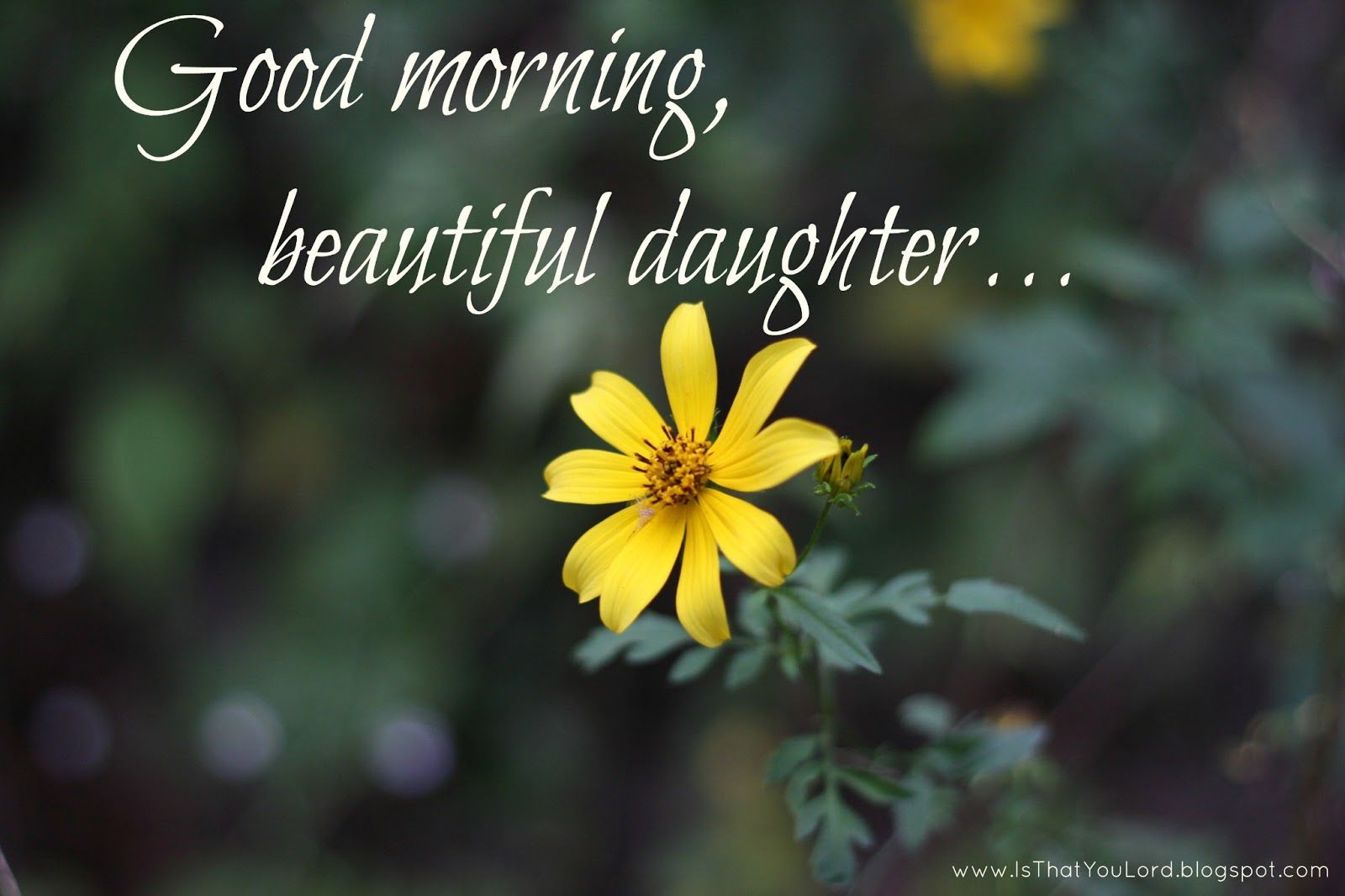 32 Best Good Morning Daughter Quotes