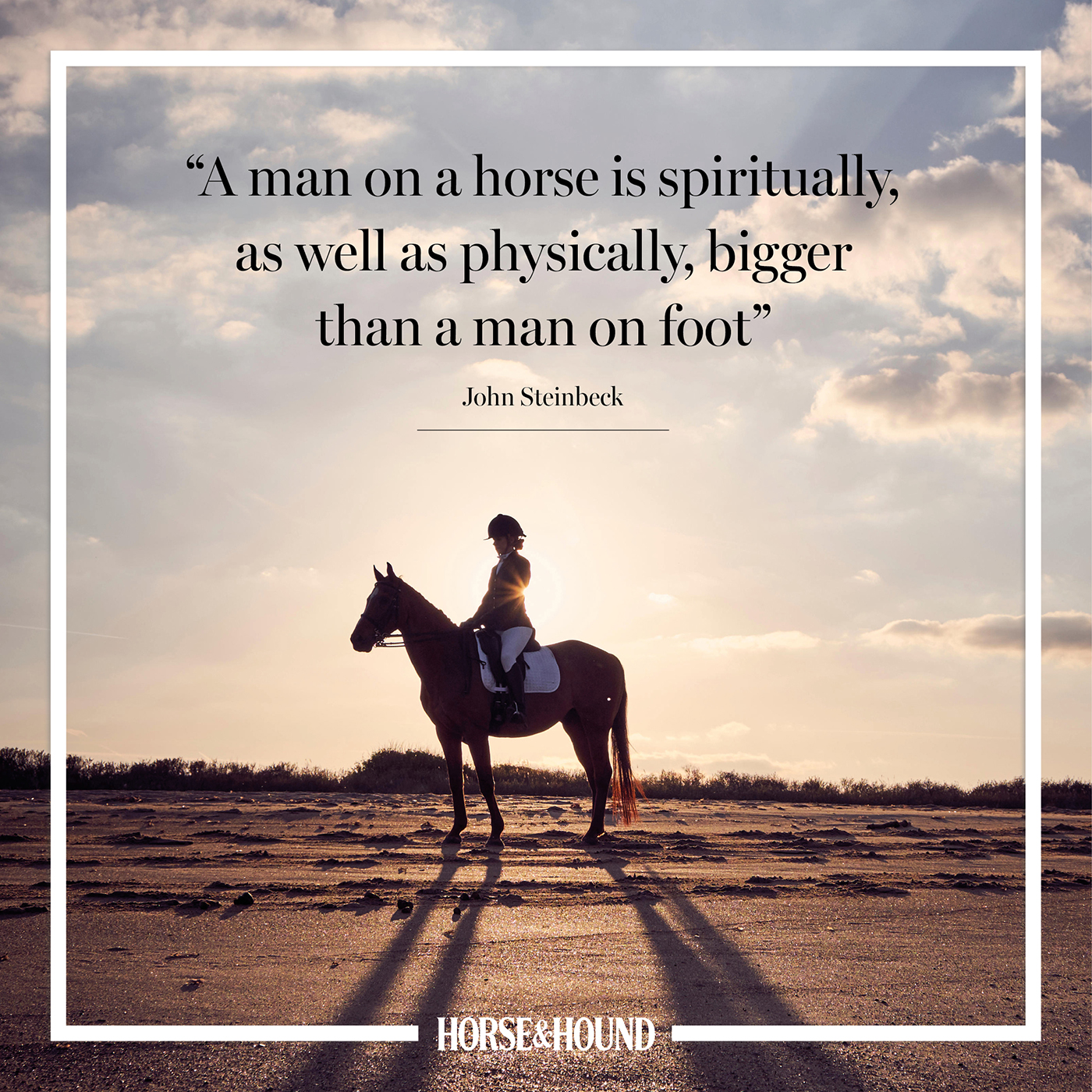 42 Best Horse Race Quotes