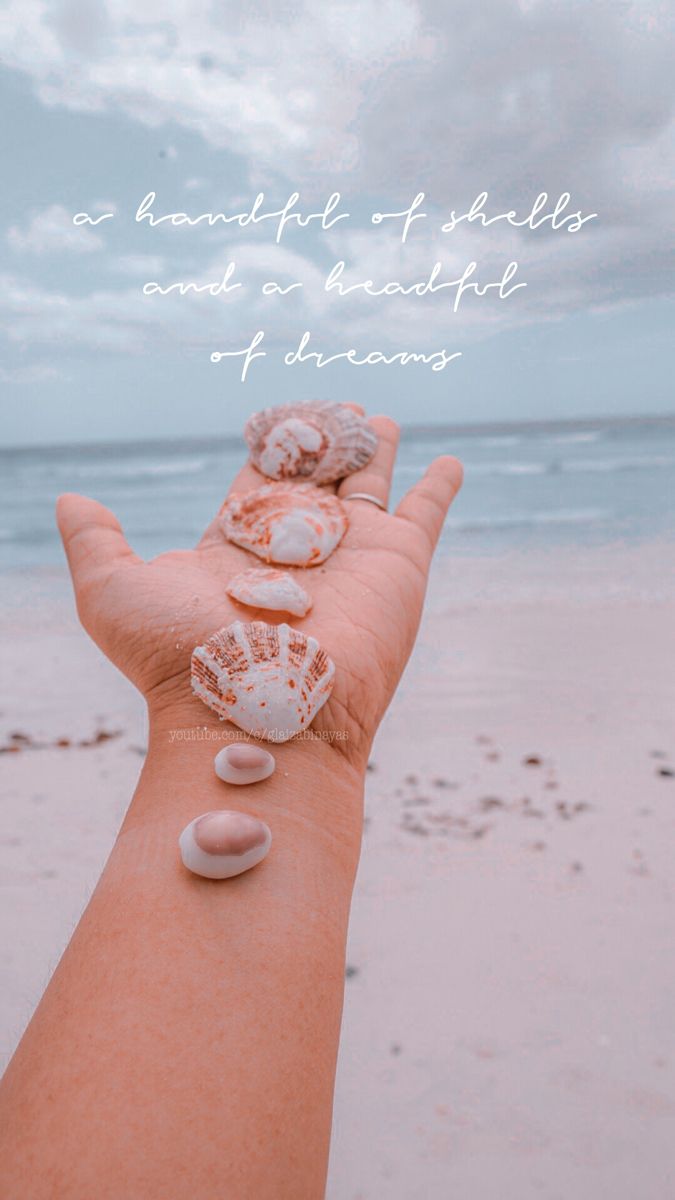 45 Best Seashell Quotes